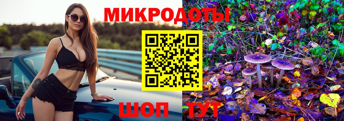 Чайковский  Псилоцибиновые грибы мухоморы  Вход с VPN 